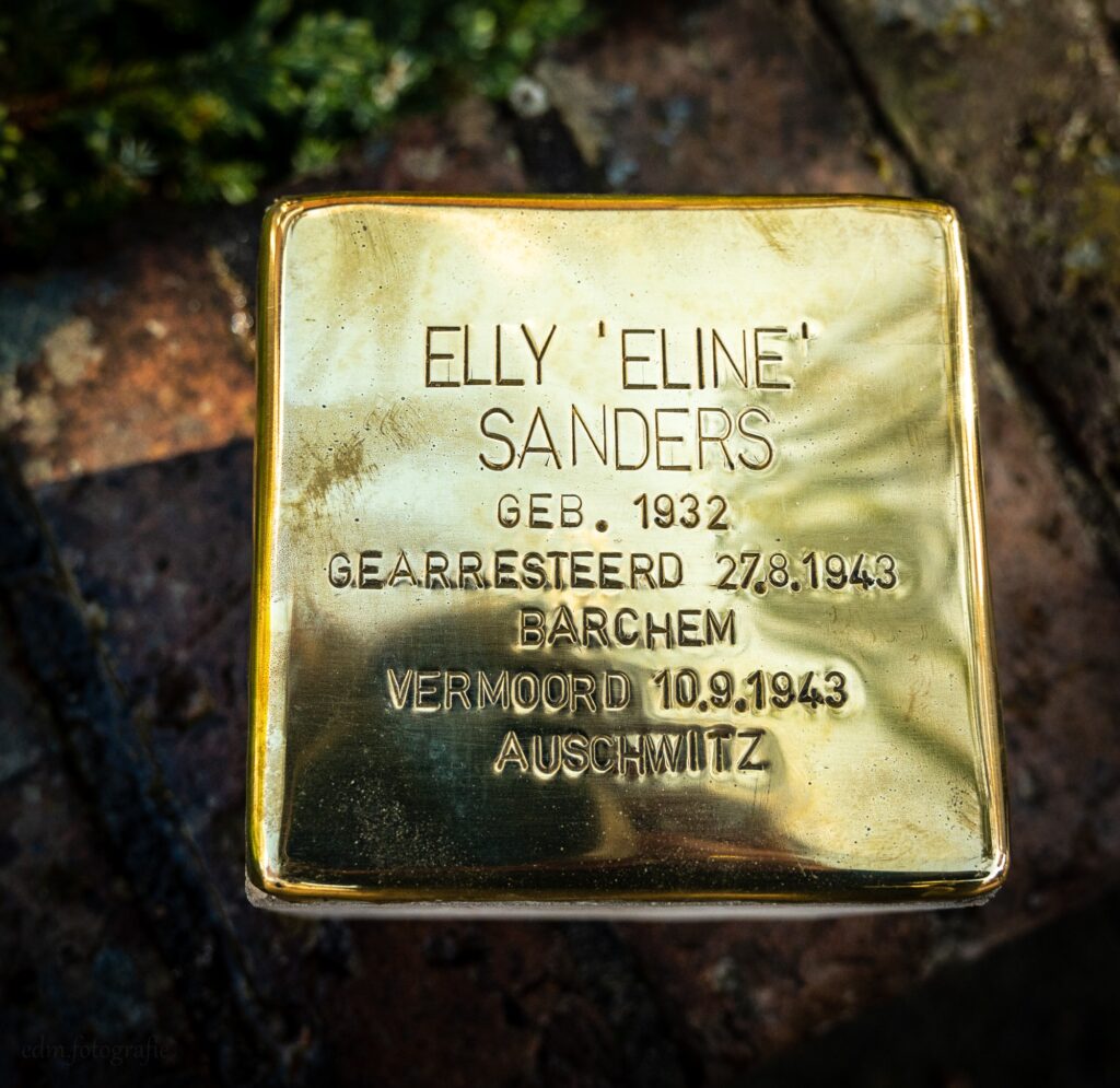 Struikelsteen Elly Sanders