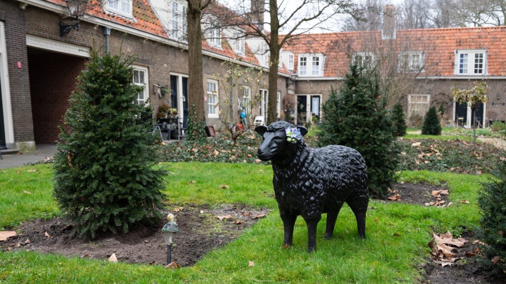 Dordrecht – het zwarte schaap in het Arend Maartenshof