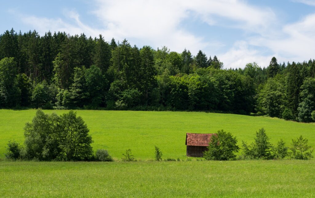 Het kleine huisje.
