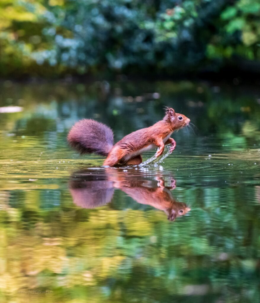 EDM Fotografie – Natuur, mensen en plekken met een verhaal