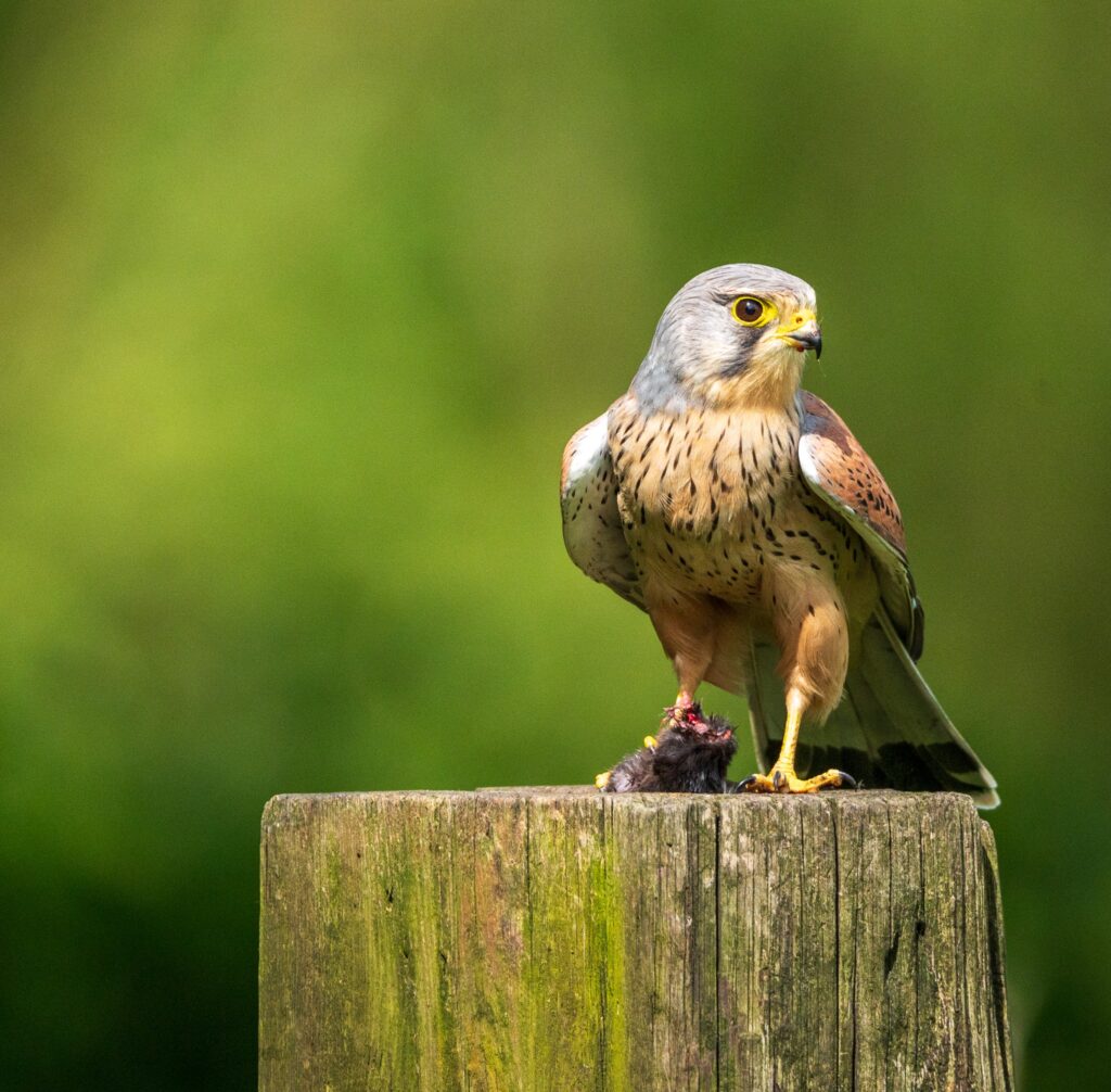 EDM Fotografie – Natuur, mensen en plekken met een verhaal