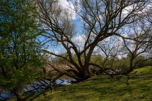 EDM Fotografie – Natuur, mensen en plekken met een verhaal