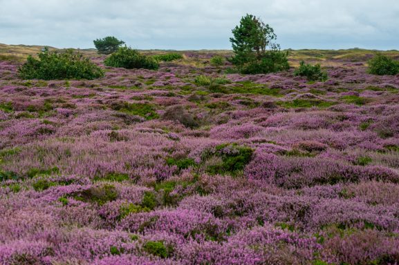 EDM Fotografie – Natuur, mensen en plekken met een verhaal