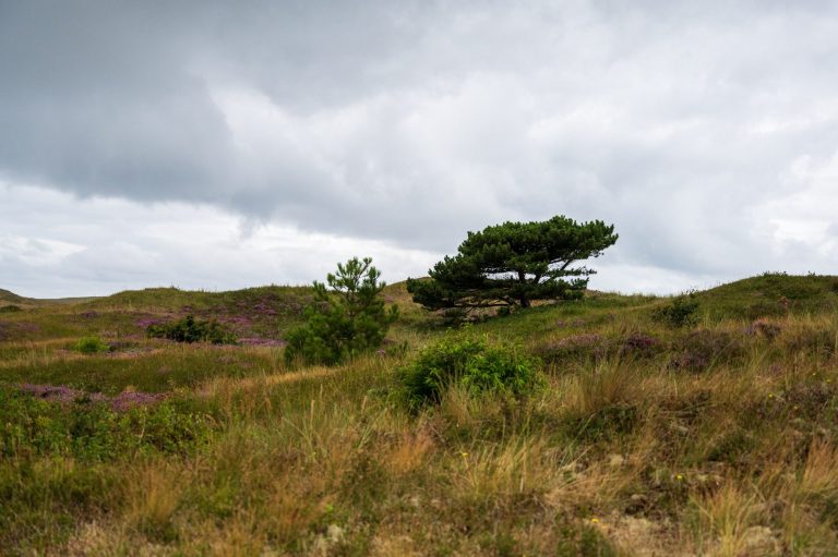 EDM Fotografie – Natuur, mensen en plekken met een verhaal