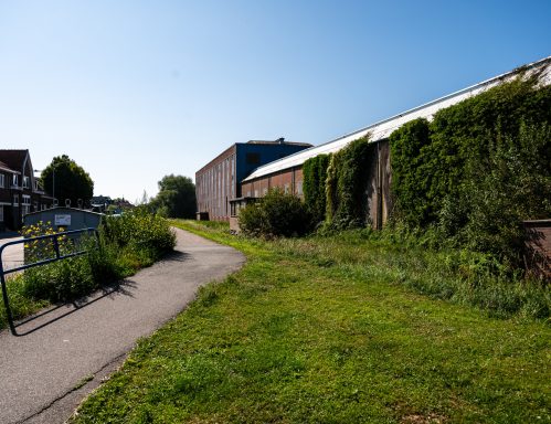 De fabriek tussen het groen.